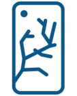درب-پشت درب-پشت